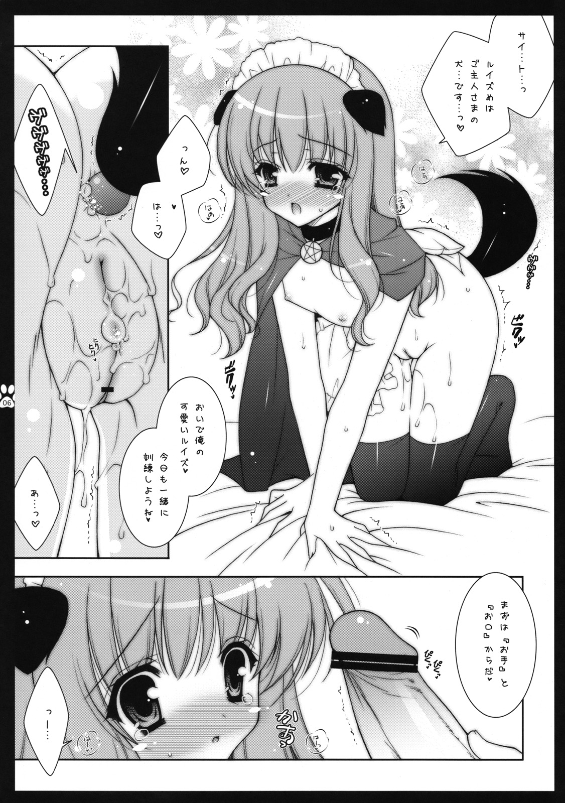 Louise-me wa Goshujin-sama no Inu desu page 5 full