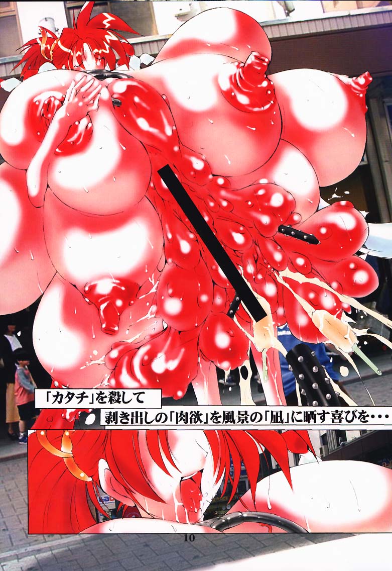 Igyou Shashin Kan page 9 full