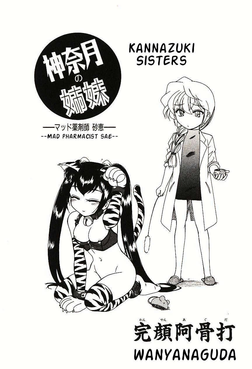 Kannaduki no Shimai - Mad Yakuzaishi Sae page 3 full