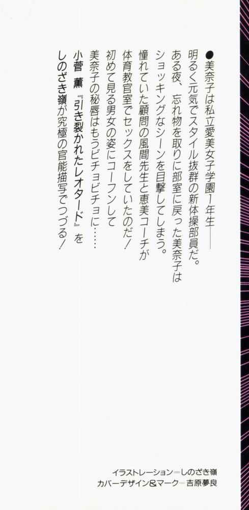 dakishimete Leotard page 2 full