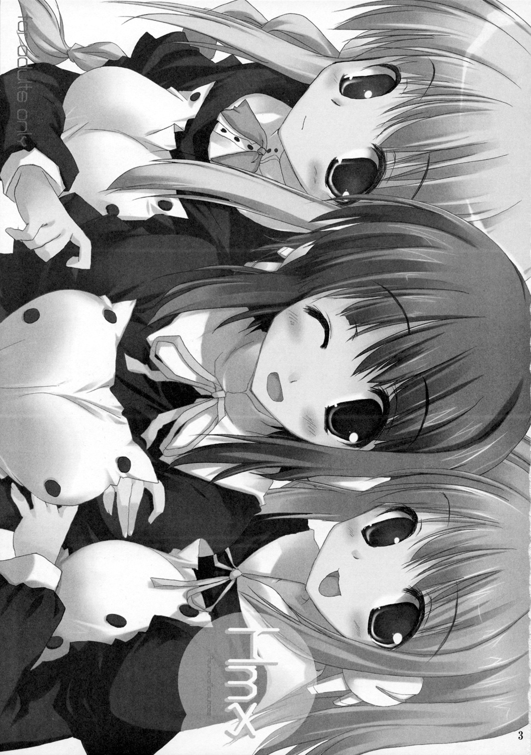 ToHarent#2 HMX-17 page 2 full