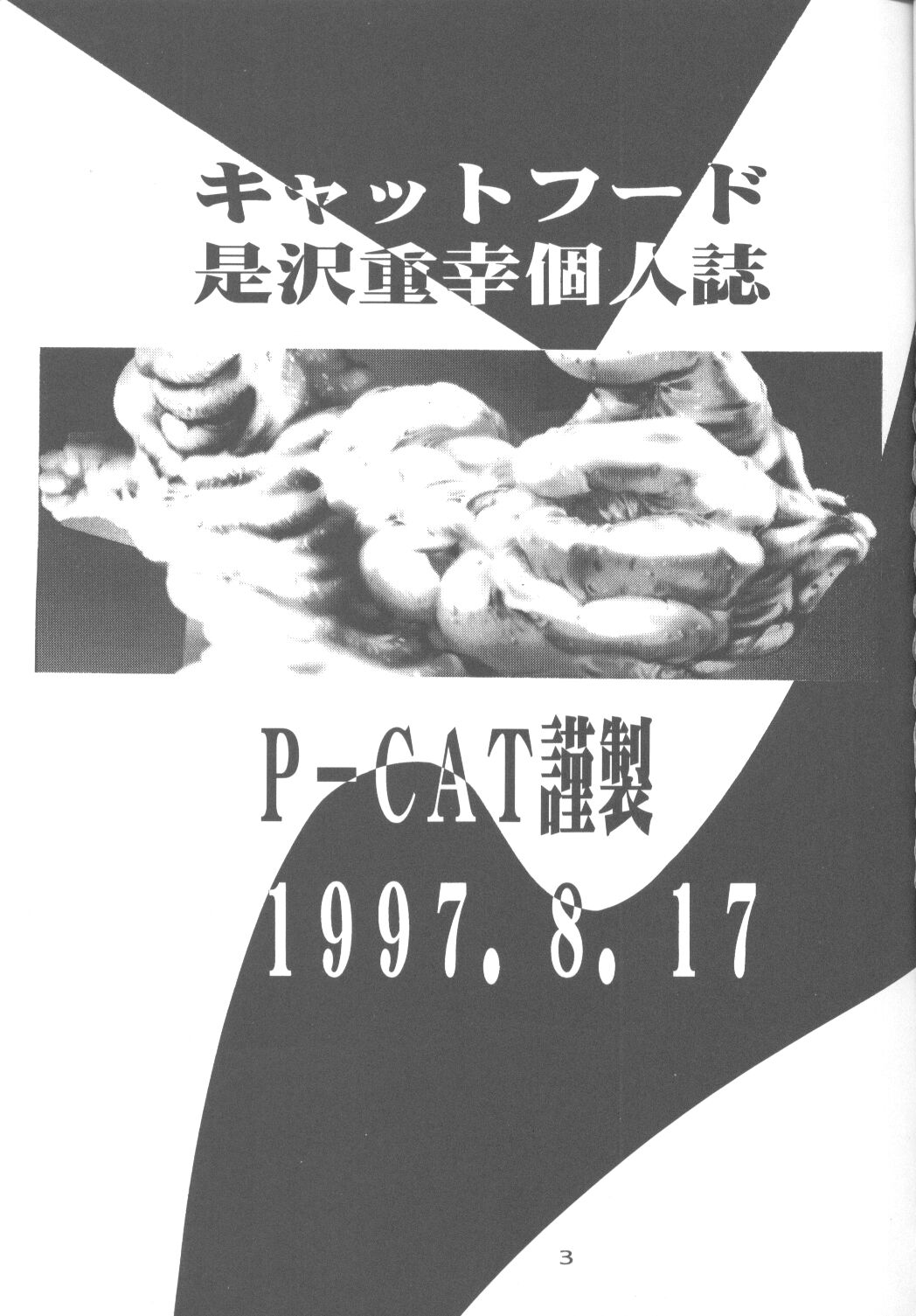 Cat Food ～Koresawa Shigeyuki Kojin Sakuhinshuu～ page 2 full