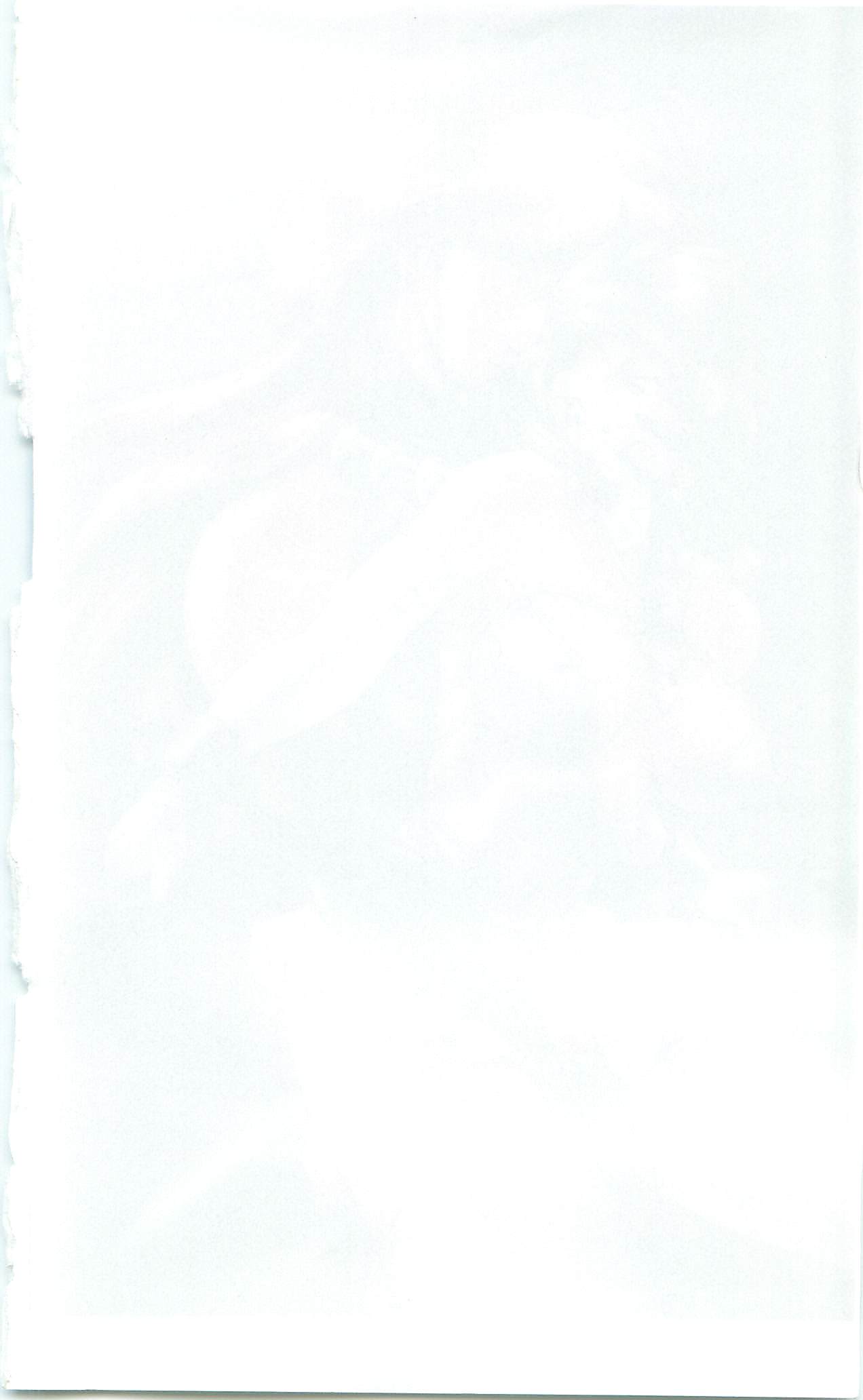 Trans Princess II page 4 full