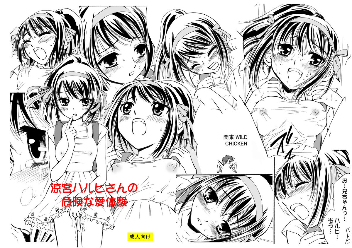 Suzumiya Haruhi-san no Kiken na Ai Taiken page 2 full