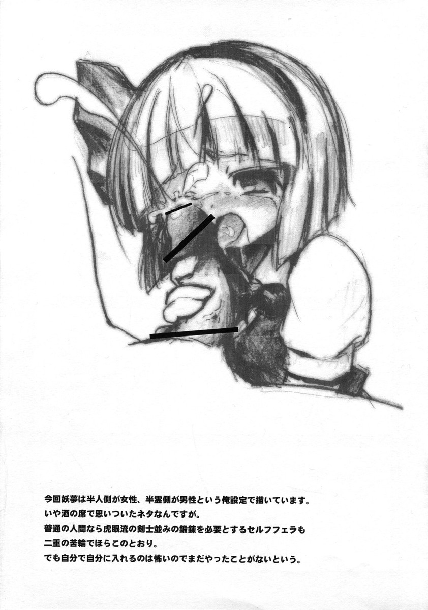 妖々臨汁剣 page 8 full