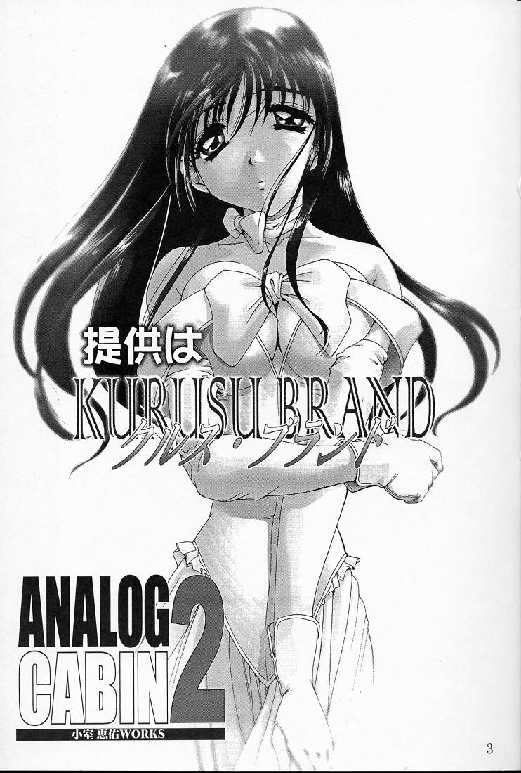 Analog Cabin 2 - Teikyou Wa Kurusu Brand page 2 full