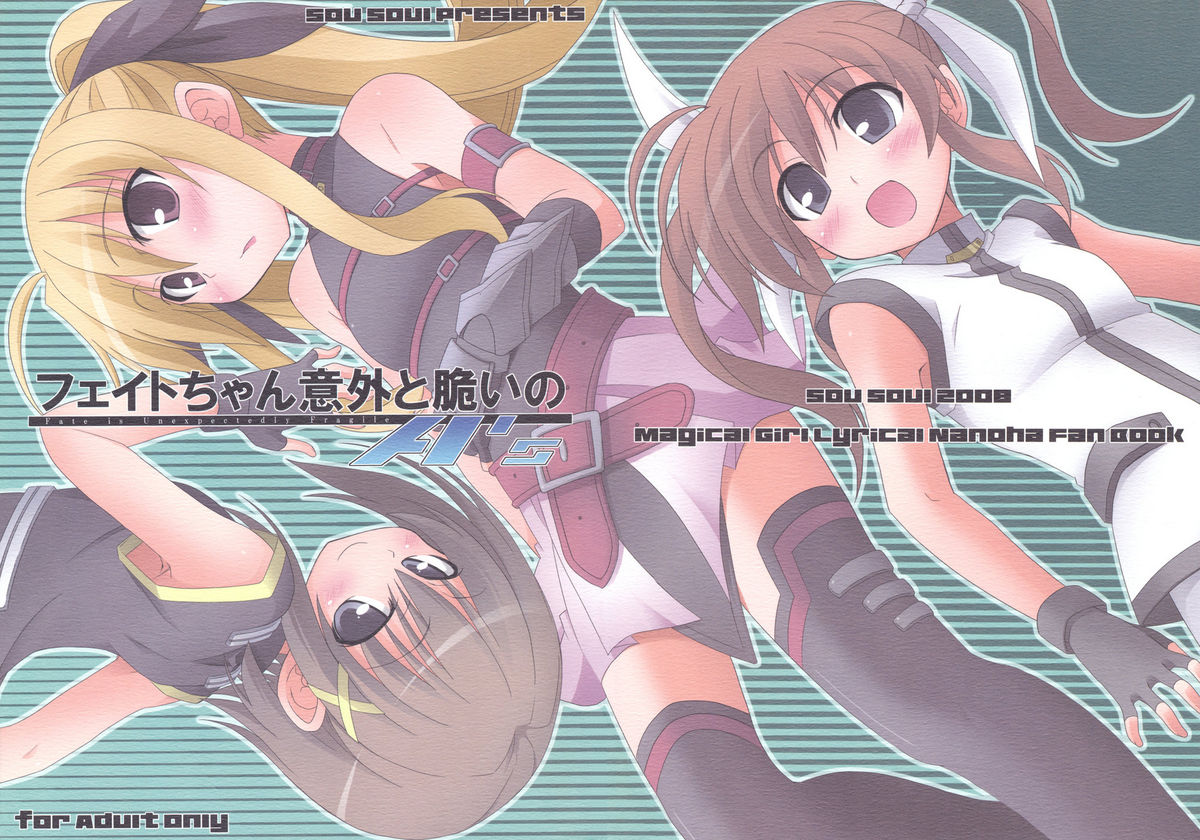 Fate-chan Igai to Moroi no A's page 2 full