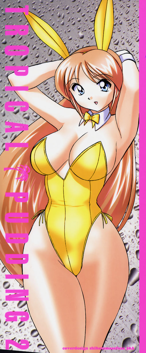 Tropical Pudding 2 page 3 full