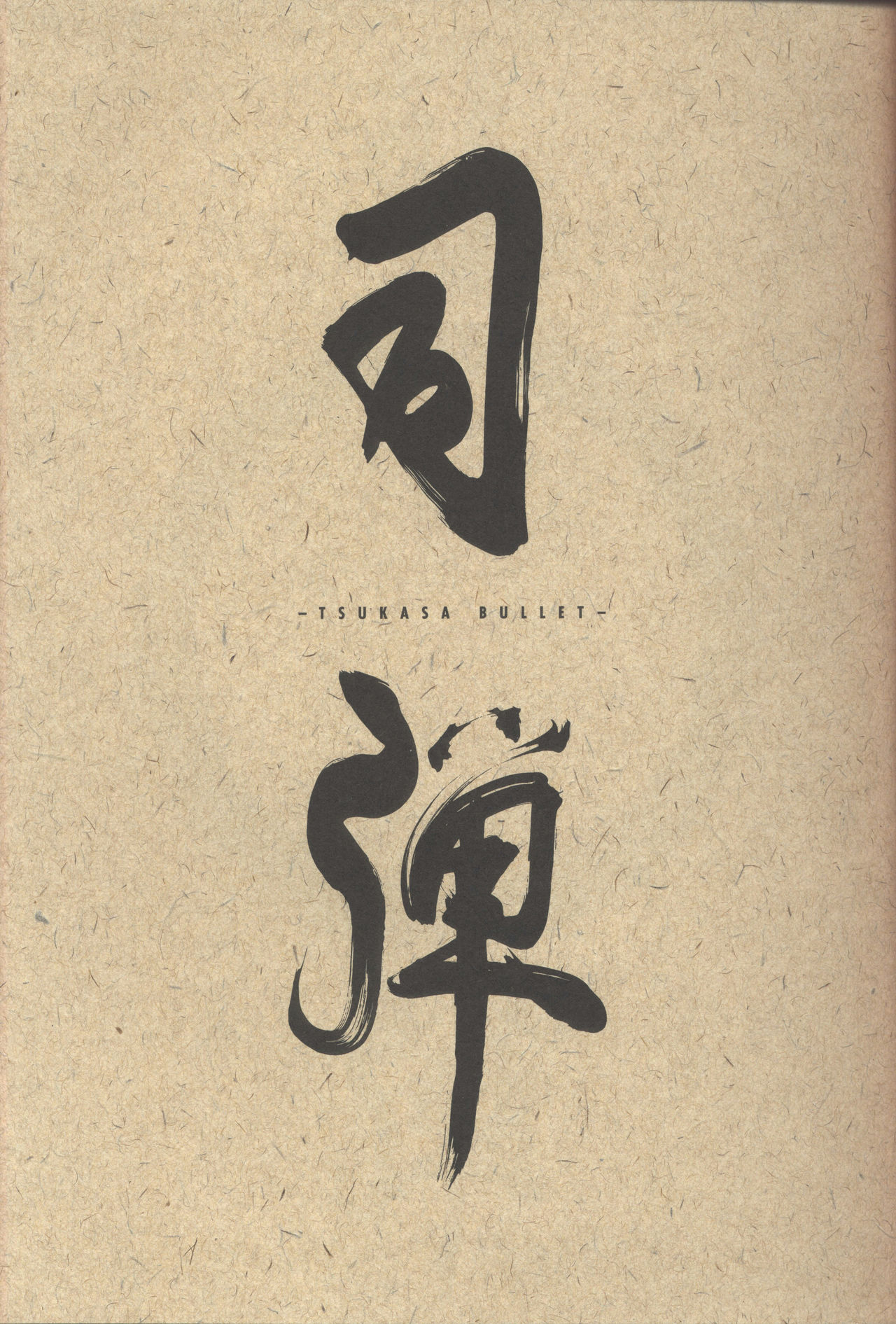 Tsukasa Bullet page 3 full