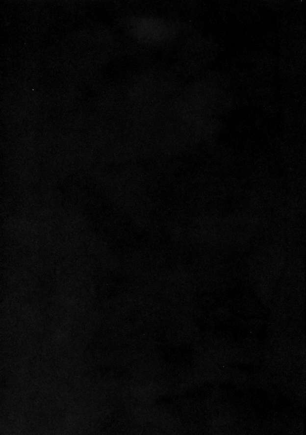 DQP 2 Sairokuhan page 2 full