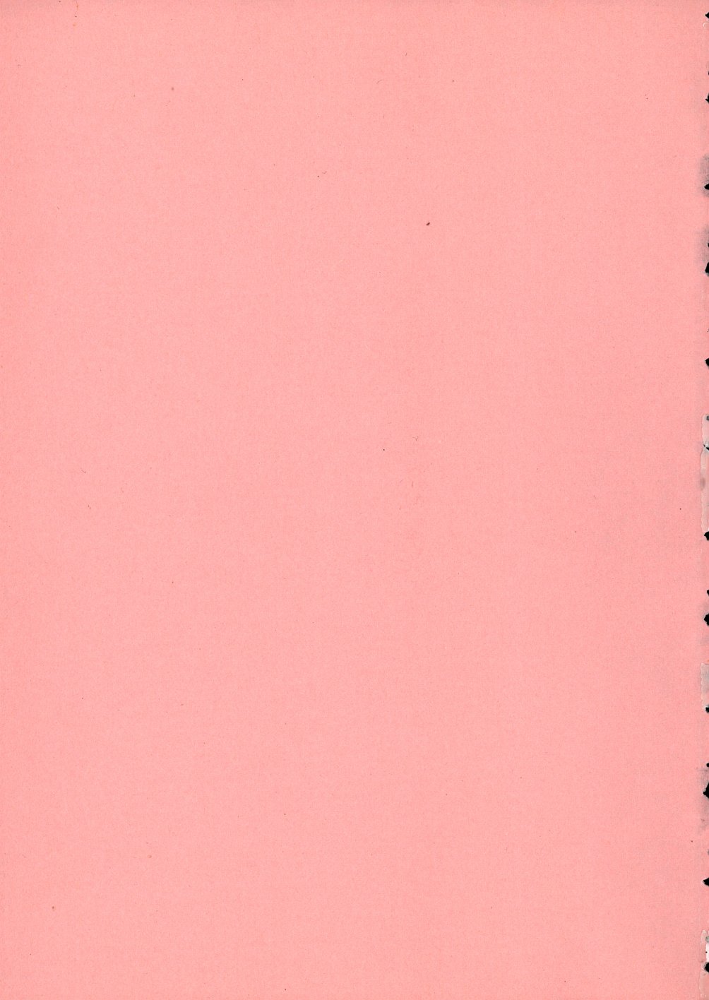 Nure Mesu Shikijou Porno page 5 full