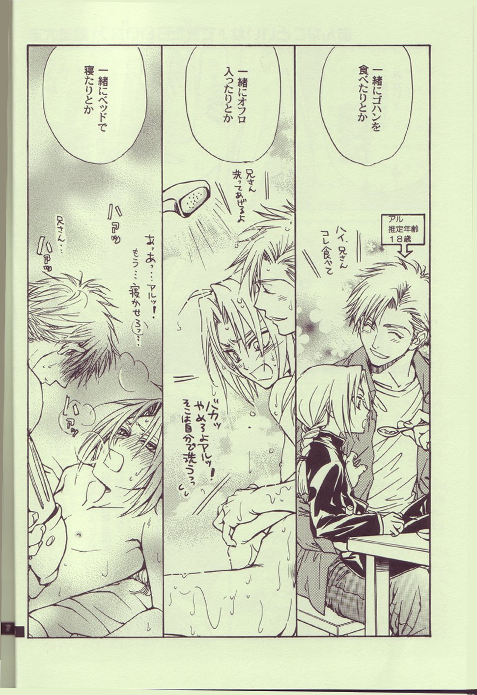 Kokka Renkinjutsushi no Tebiki | State Alchemist's Handbook page 5 full