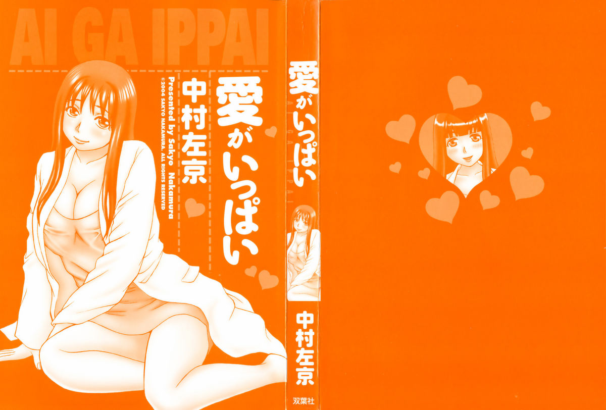 Ai ga Ippai page 3 full