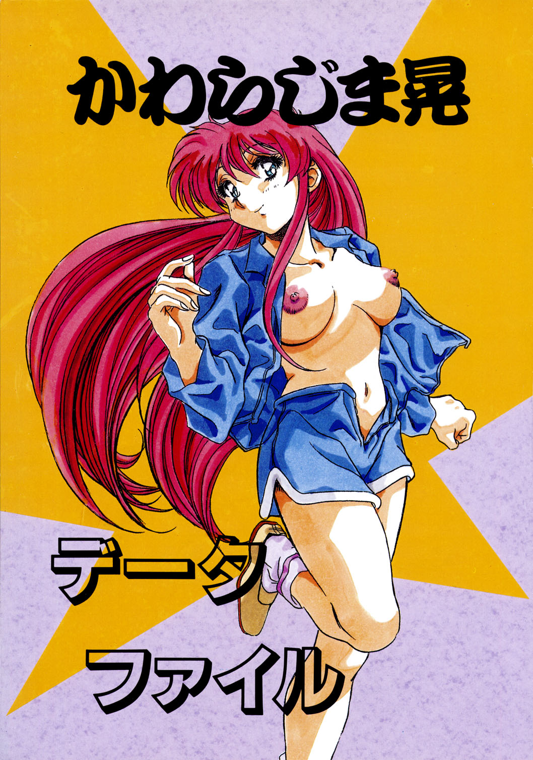 Chaos Create Kawarajima Koh Datafile page 2 full