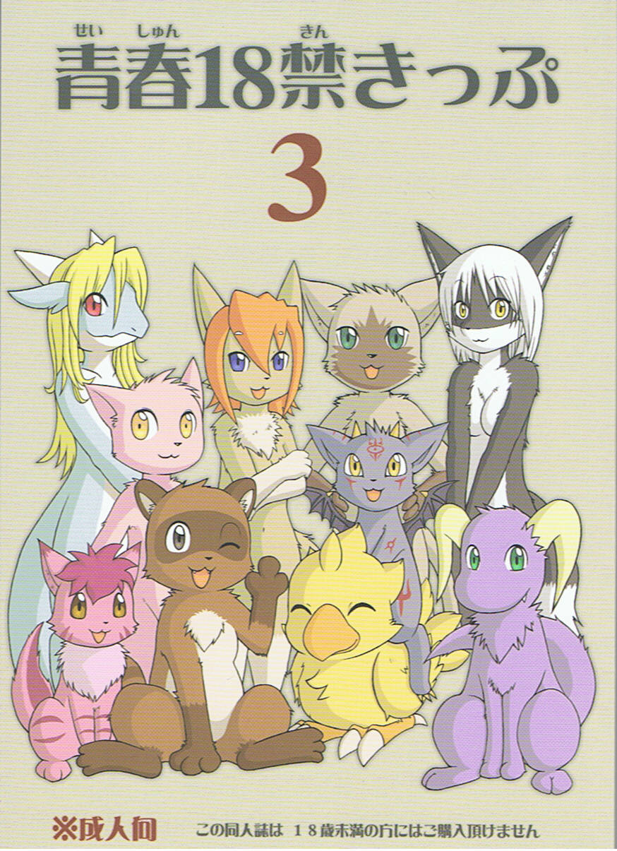 Seishun 18kin Kippu 3 page 1 full