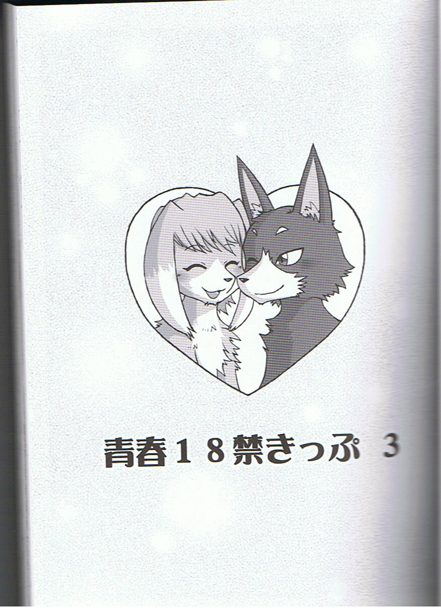 Seishun 18kin Kippu 3 page 2 full