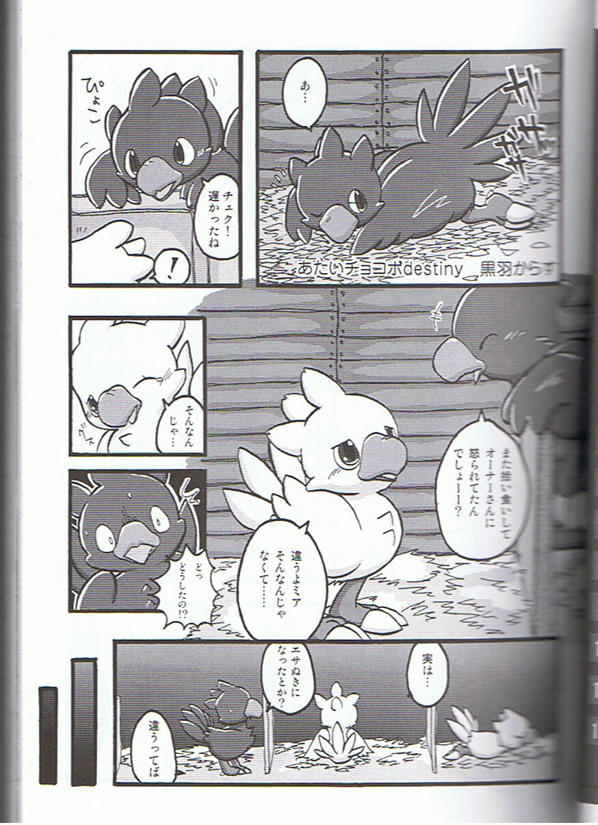 Seishun 18kin Kippu 3 page 4 full