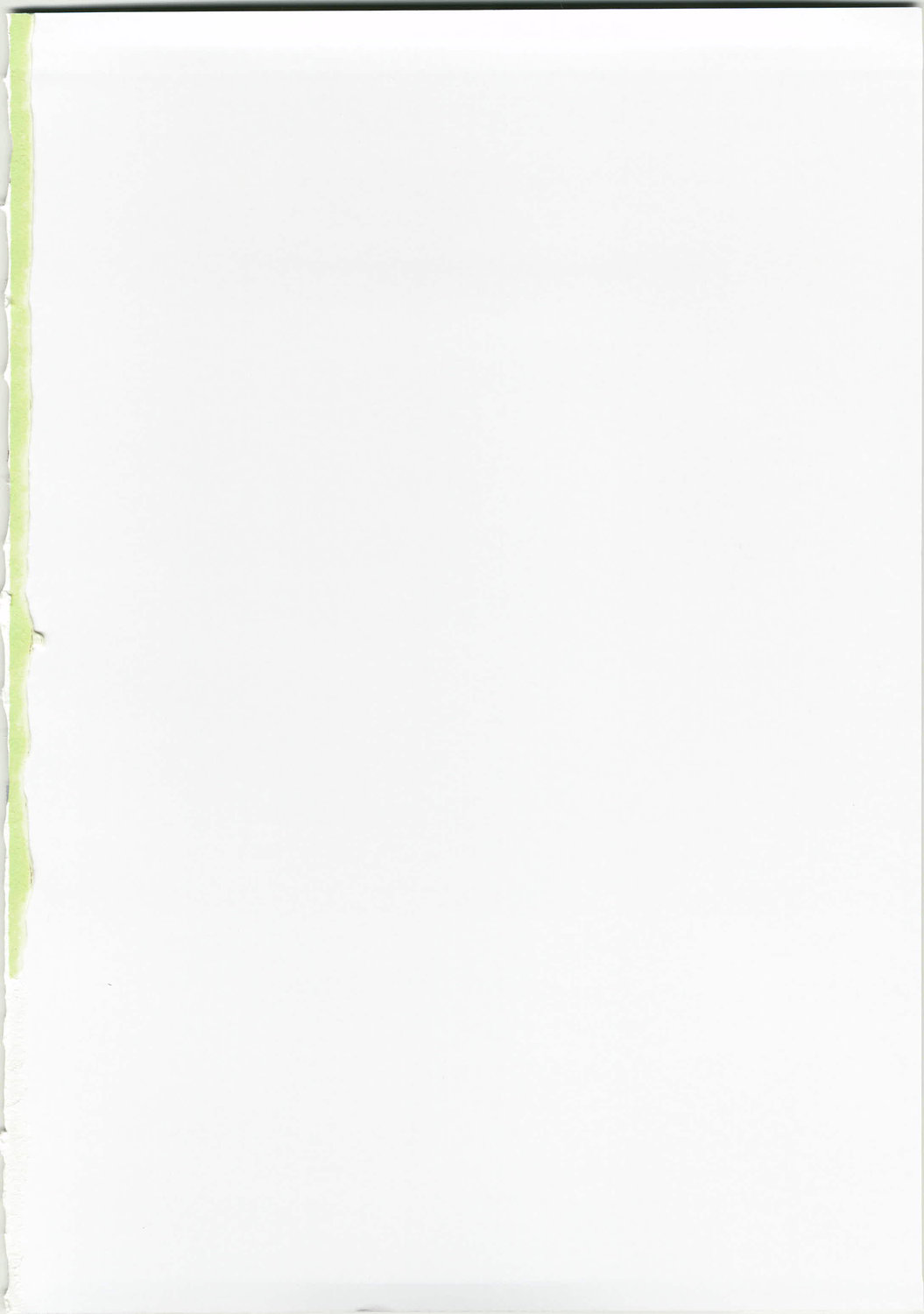 Shin Hanajuuryoku 17 page 2 full