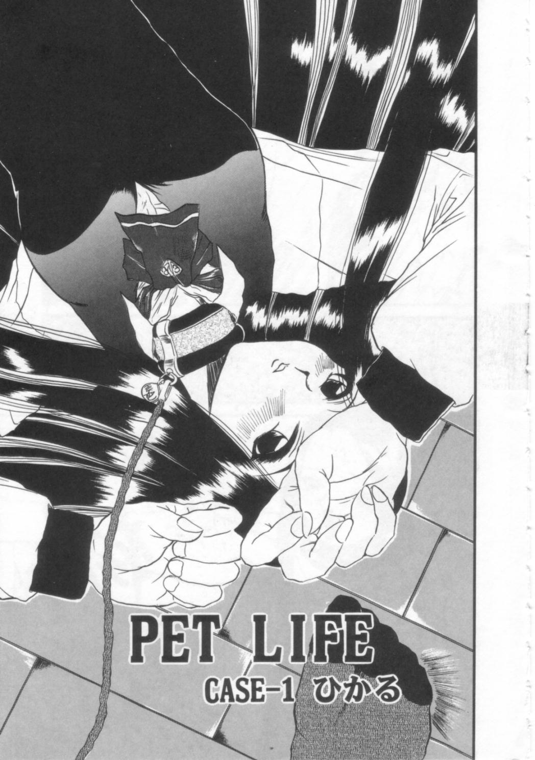 PET LIFE page 6 full