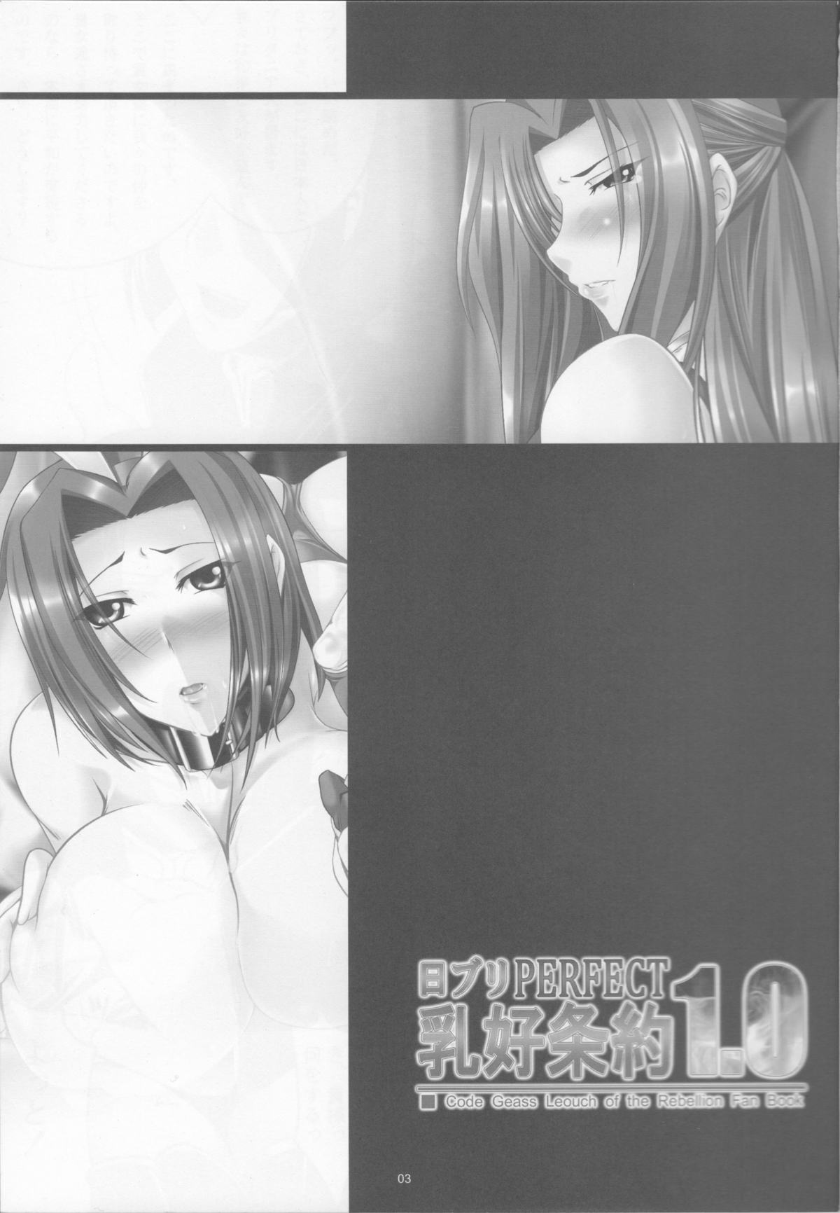 NichiBri PERFECT Nyuukou Jouyaku 1.0 page 2 full