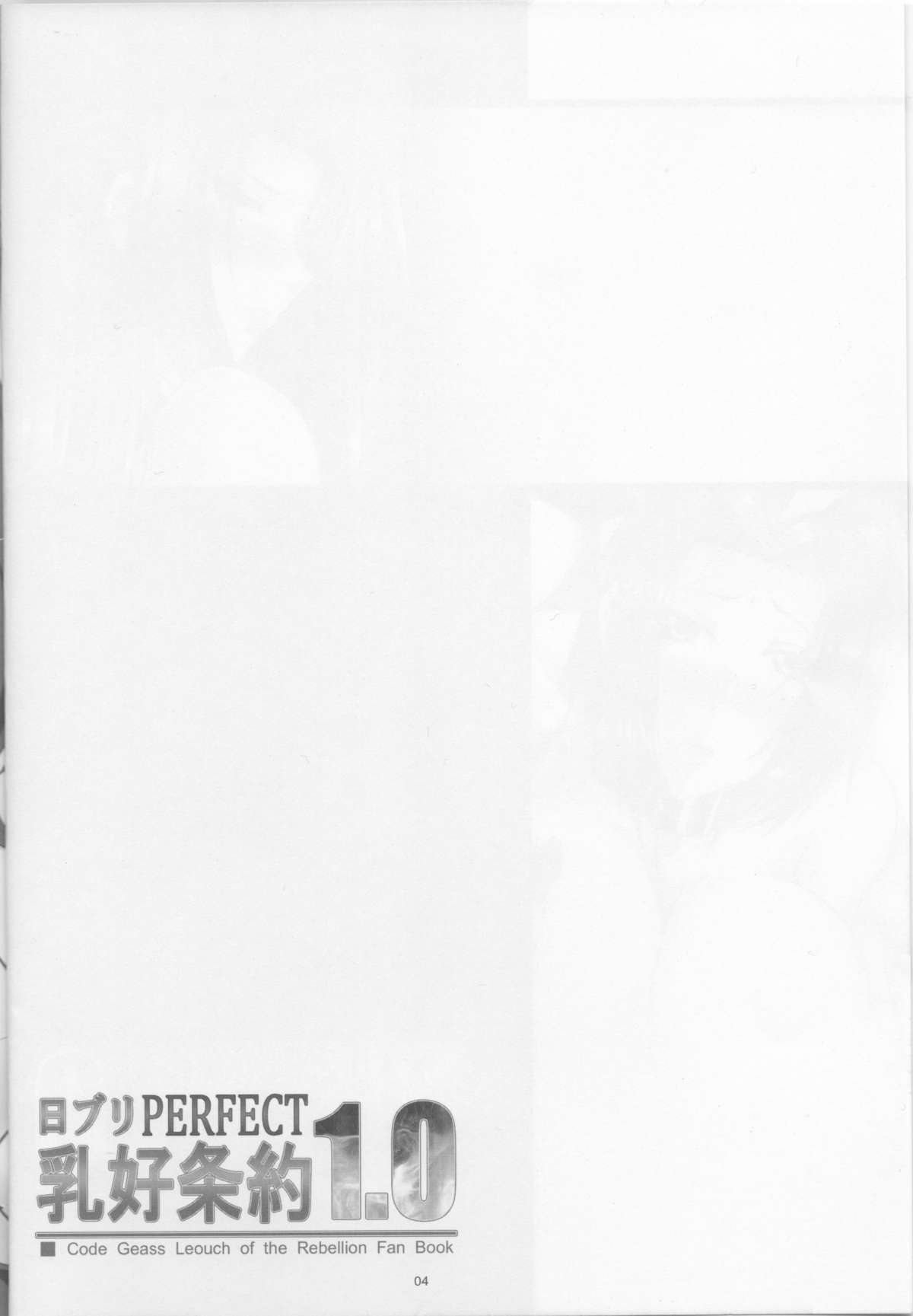 NichiBri PERFECT Nyuukou Jouyaku 1.0 page 3 full