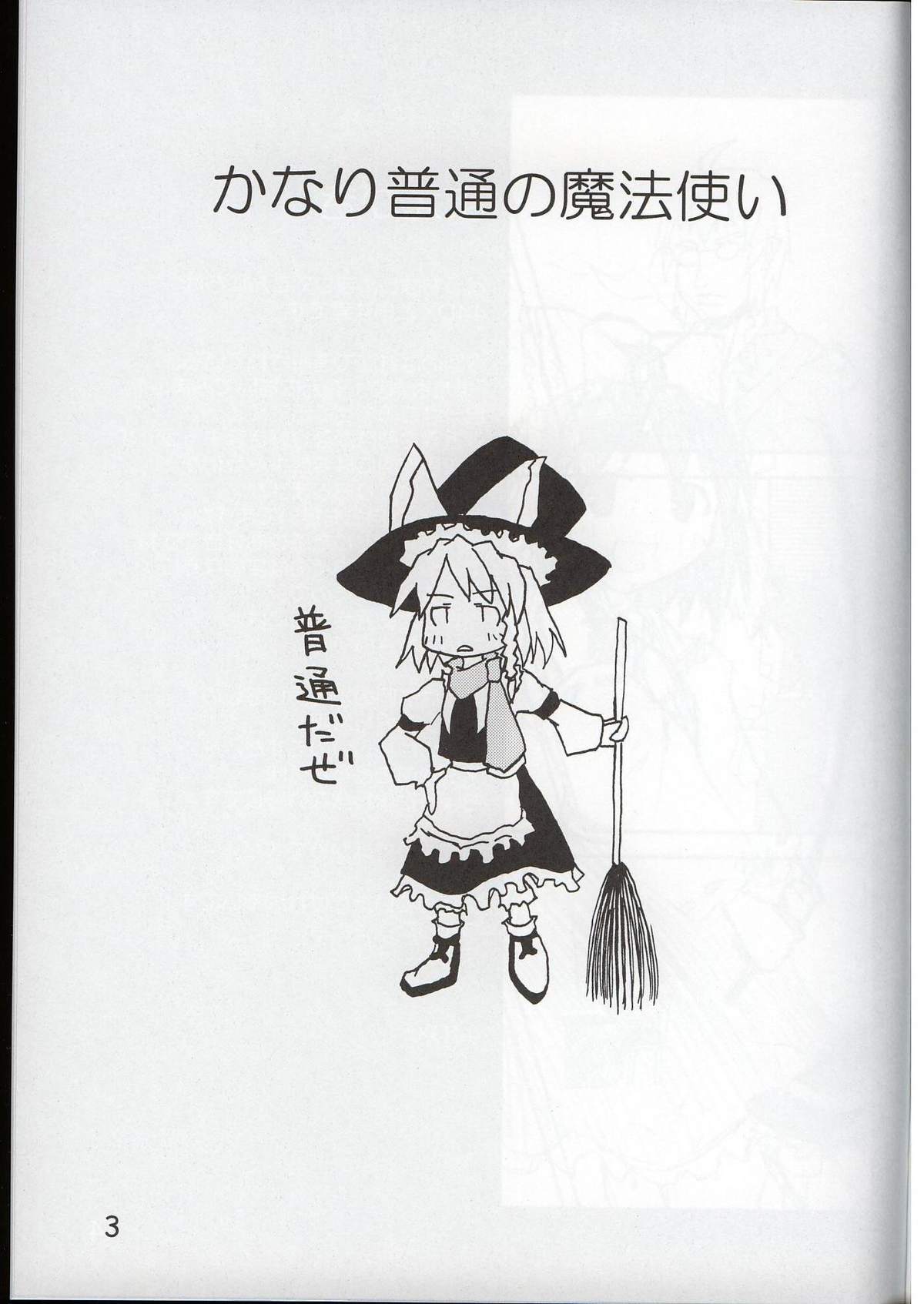 かなり普通の魔法使い page 2 full