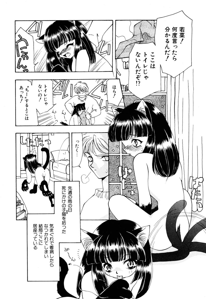 Little Pierce Vol. 9 page 8 full