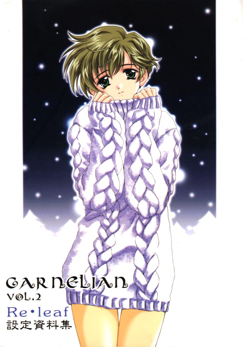 CARNELIAN vol.2  - Re·Leaf Settei Shiryou Tsudo page 1 full