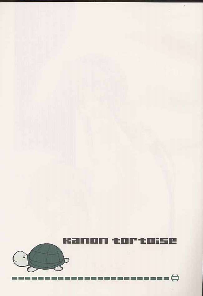 kanon tortoise page 1 full