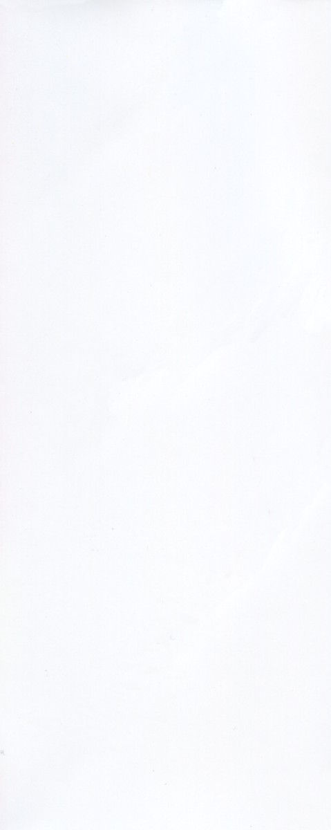 In-nyu 100% page 4 full