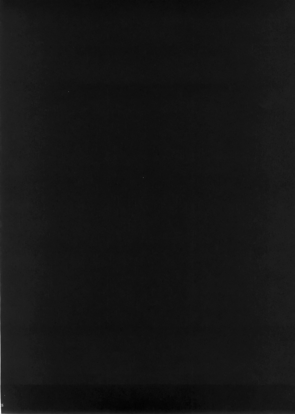 DIVE INSPECTION page 3 full