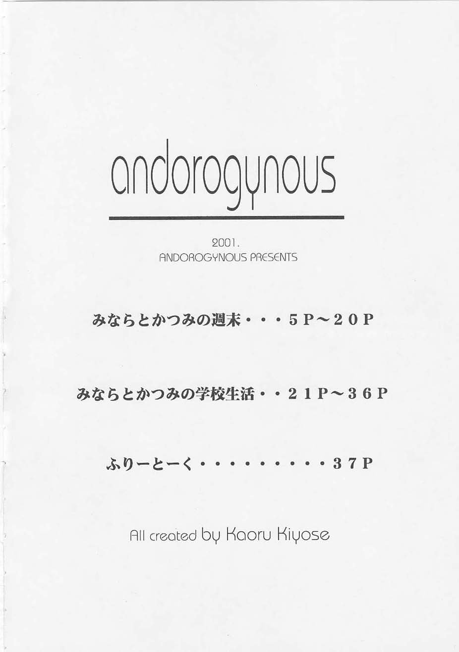 Andorogynous Vol. 1 page 3 full