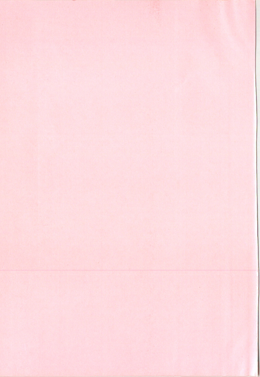 Anal Daisakusen page 4 full