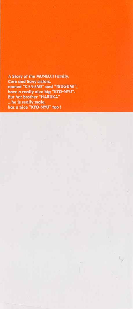 Shin Kyonyuu Kazoku 4 page 2 full