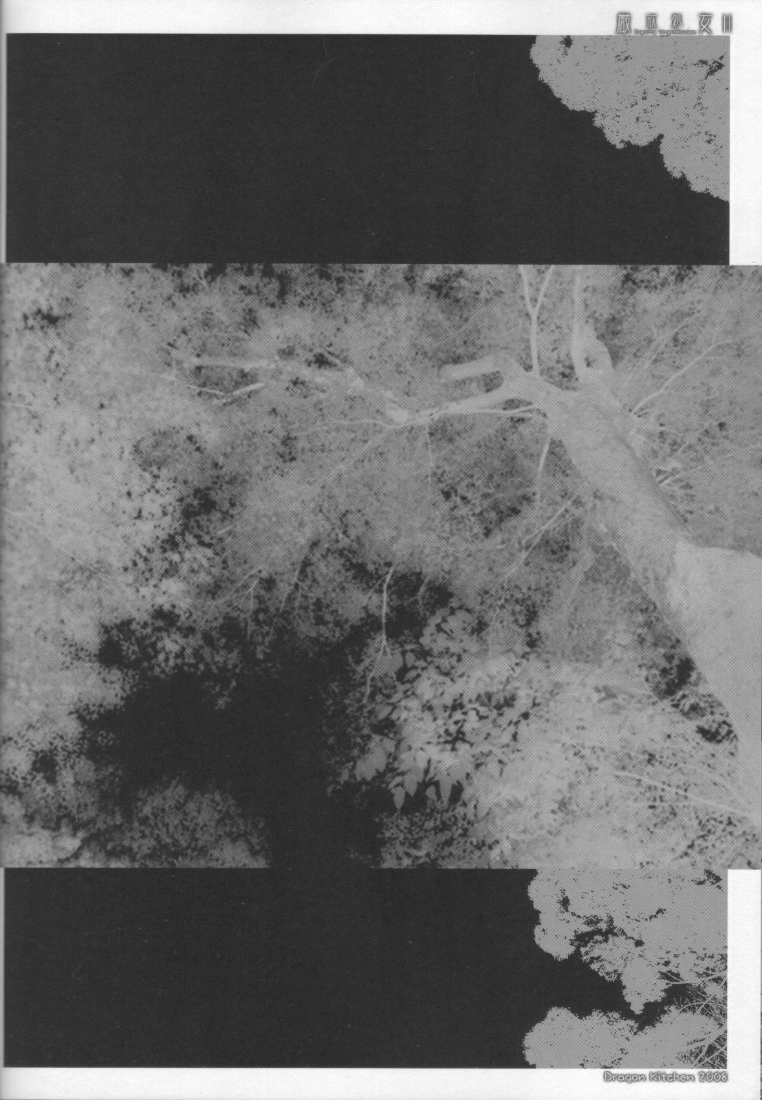 Genkai Shojo II page 9 full