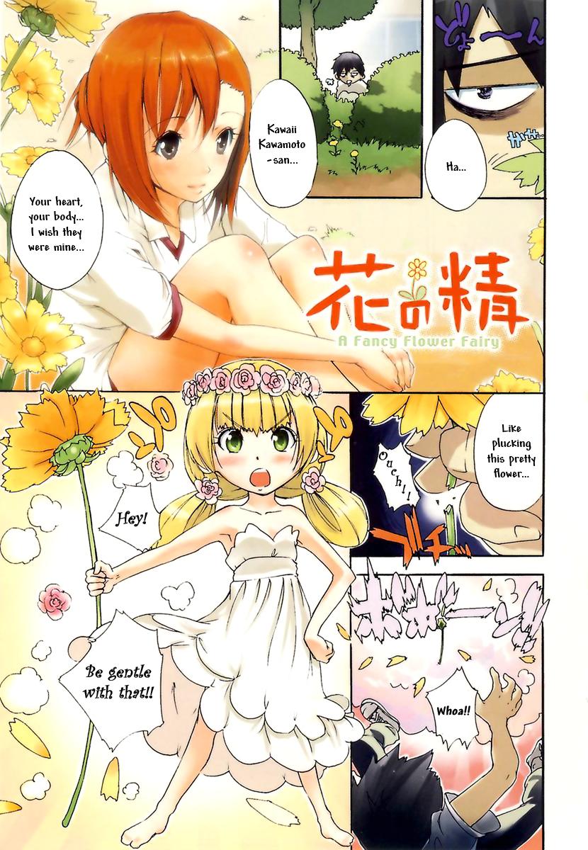 Hana no Sei - a Fancy Flower Fairy page 1 full