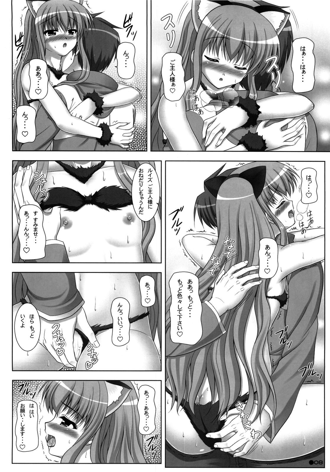 Louise no Bust Revolution!? 2 page 8 full