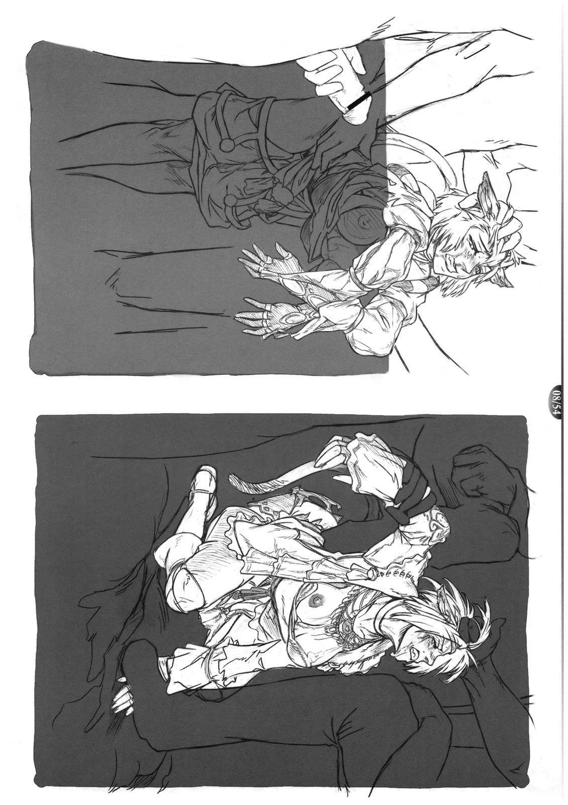 Mithman Report 2008. page 9 full