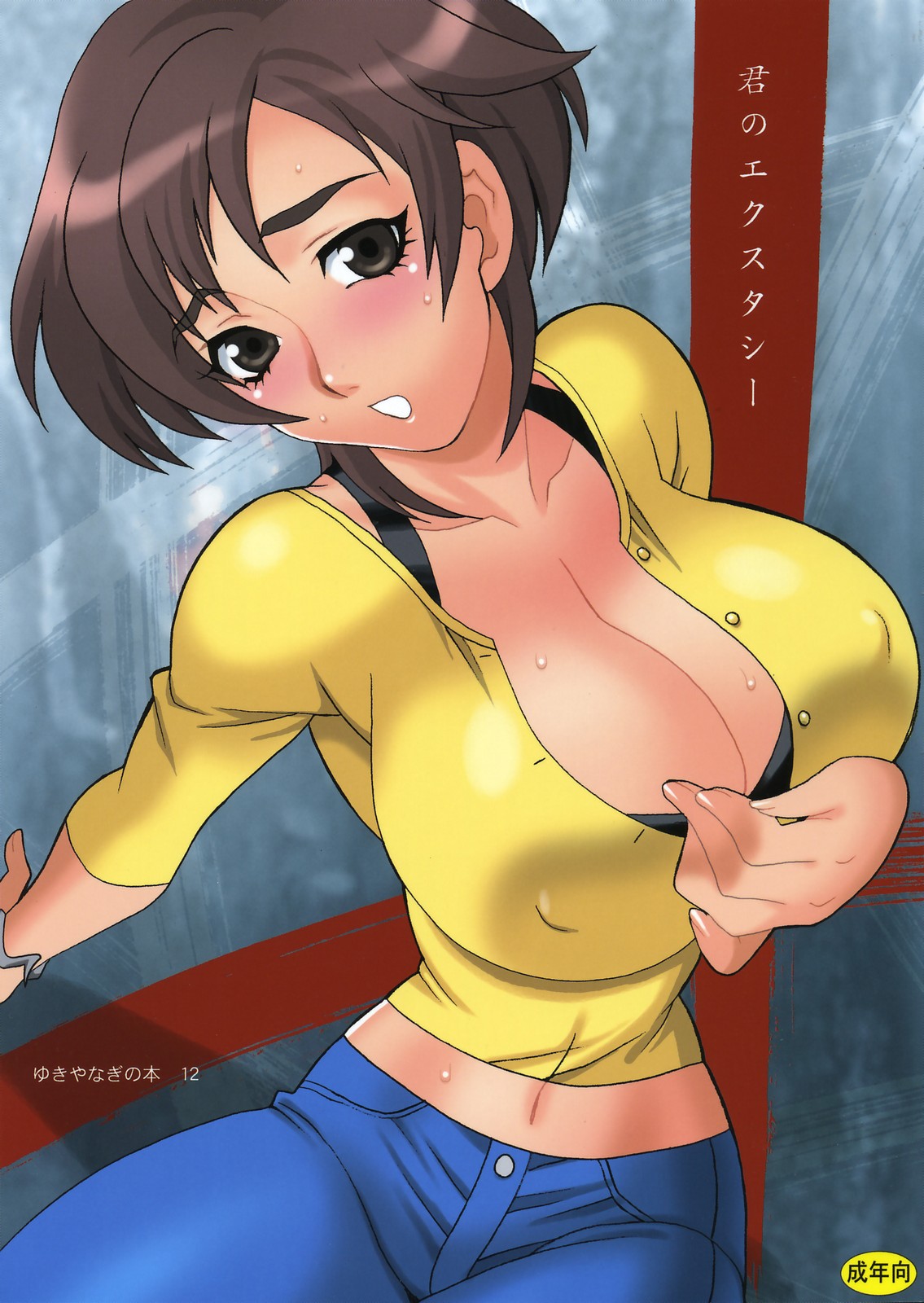 Yukiyanagi no Hon 12 Kimi no Ecstasy page 1 full