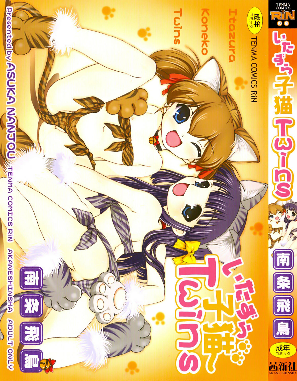 Itazura Koneko Twins page 2 full