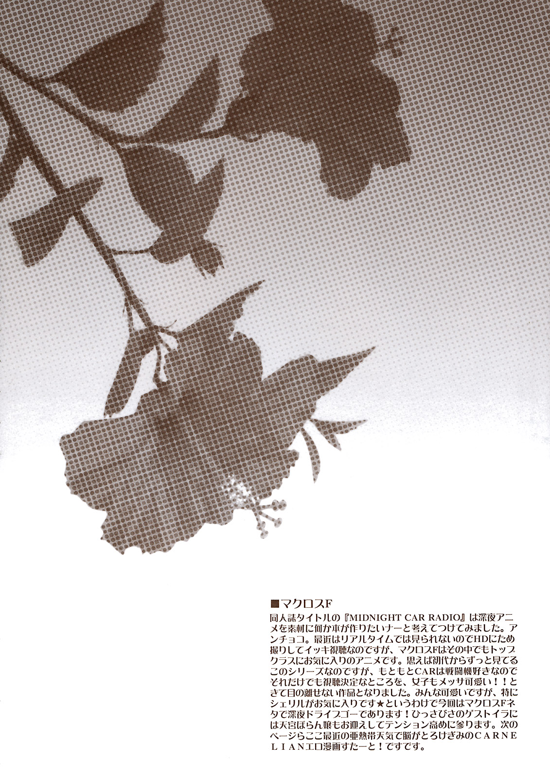 MIDNIGHT CAR RADIO page 3 full