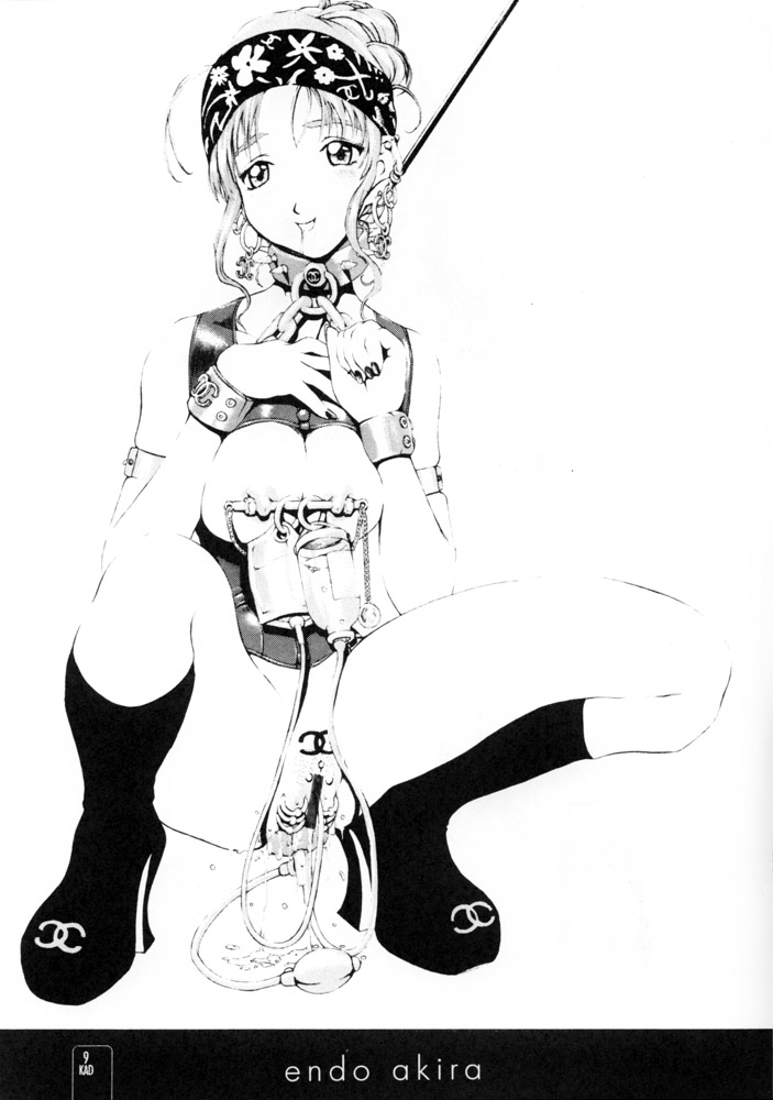 KAD STANDARD page 8 full