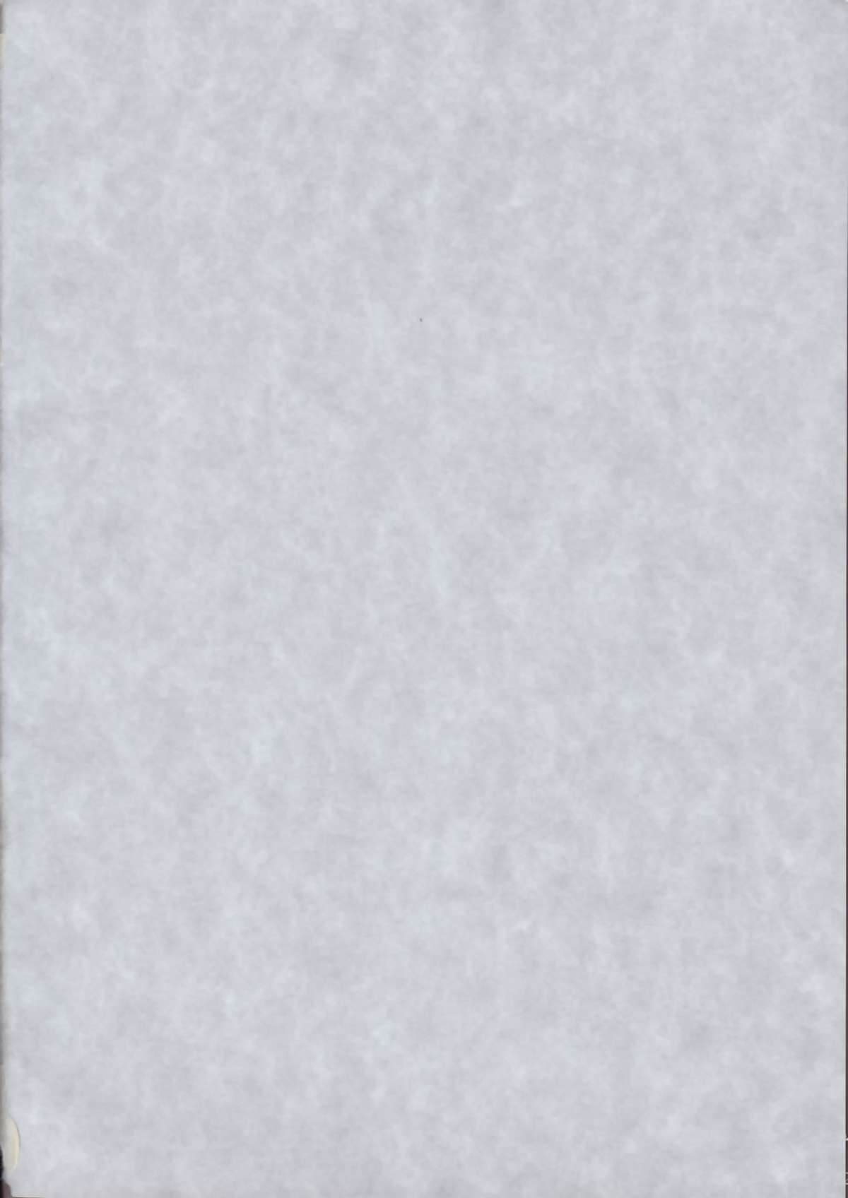 BTB-27 Tamanuke page 2 full