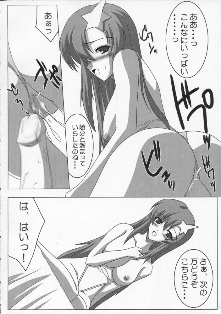 Meer Special Kidou Senshi Gundam SEED DESTINY / Mobile Suit Gundam SEED DESTINY page 5 full