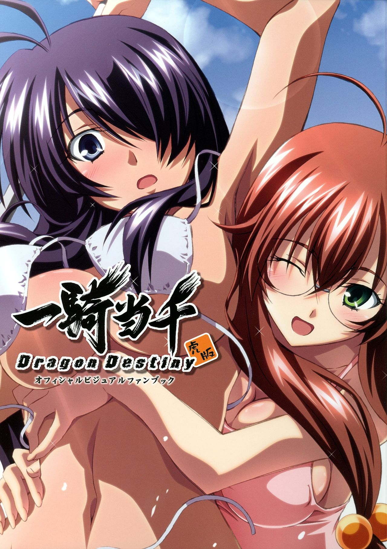 Ikkitousen Dragon Destiny Offical Visual Fan Book page 1 full