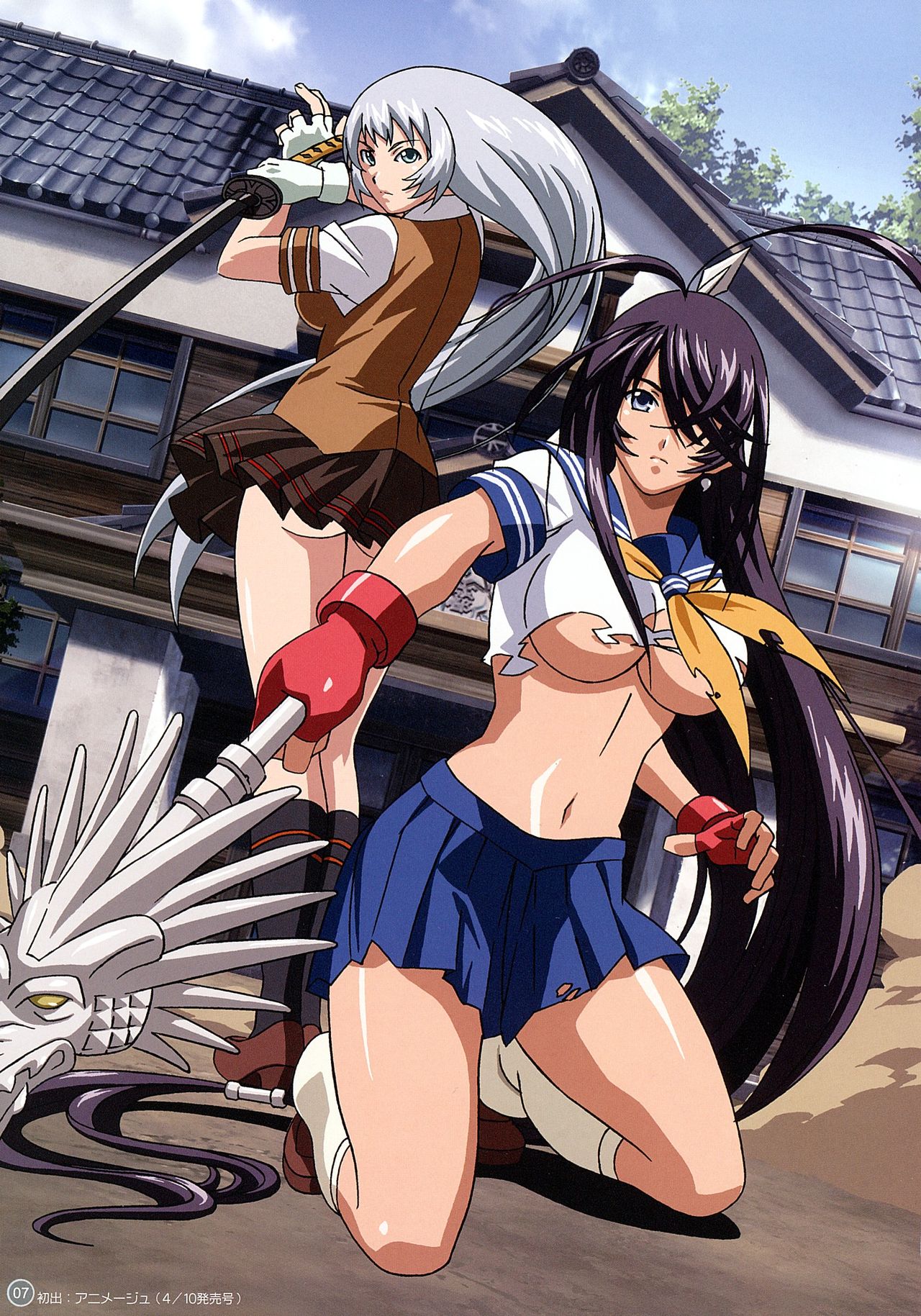 Ikkitousen Dragon Destiny Offical Visual Fan Book page 6 full