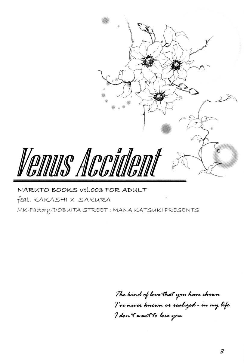 Venus Accident page 3 full