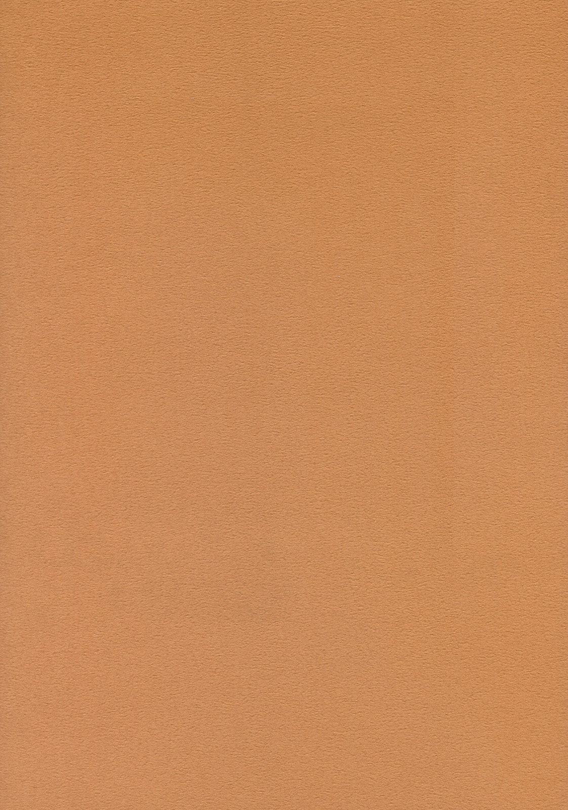 Honey DIP page 3 full