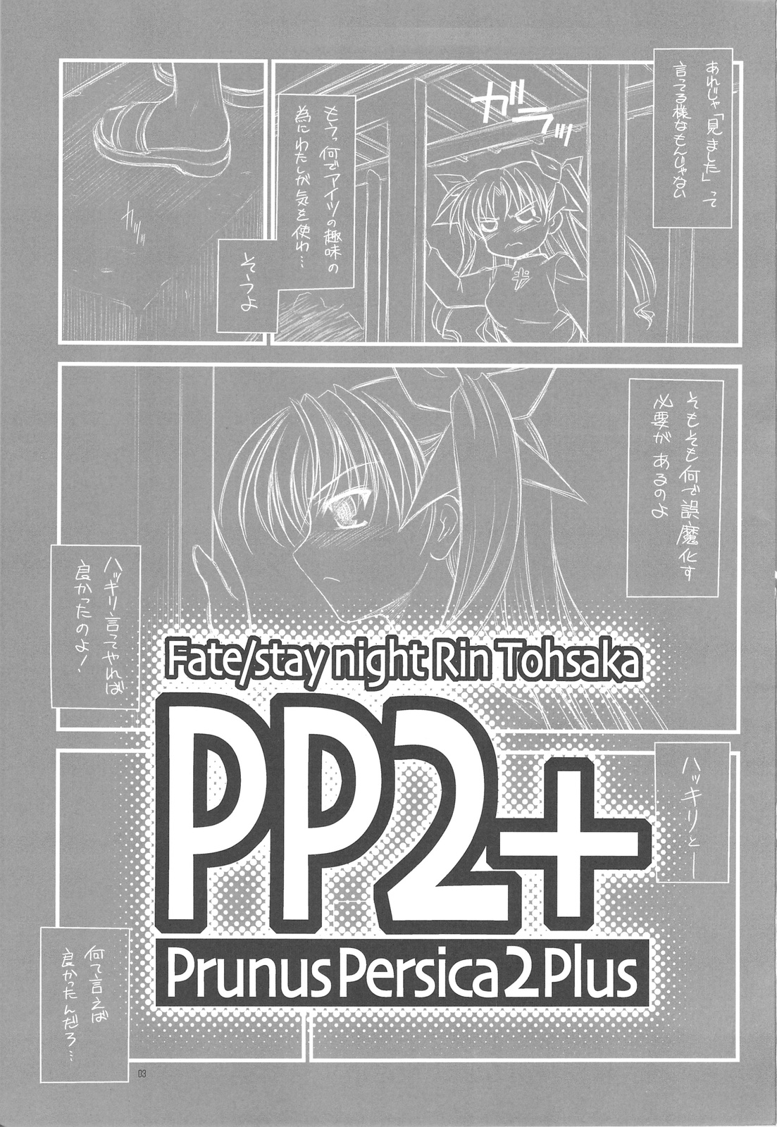 PP2+ Prunus Persica 2 Plus page 2 full