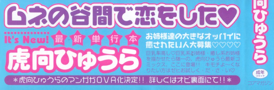 Flower Pillow page 3 full